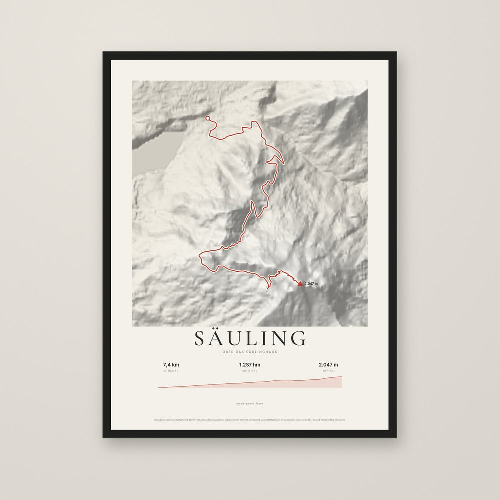Reliefposter Säuling im Stil Papier mit schwarzem Rahmen